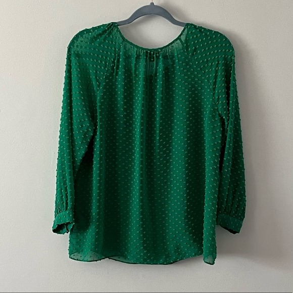 J.  Crew Green Swiss Dot Silk Blend L/S Sheer Blouse sz 2 - Picture 5 of 9